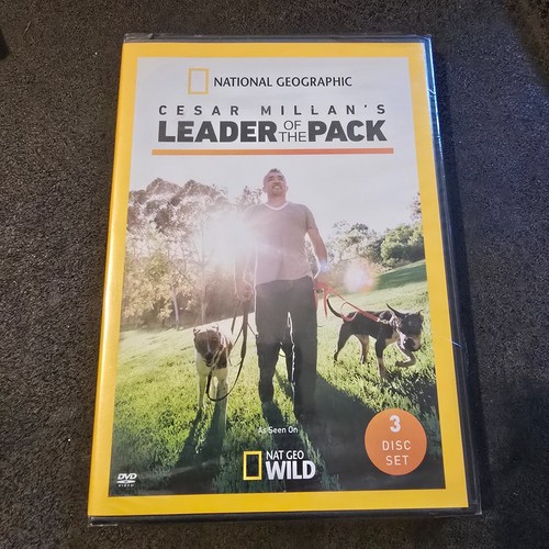 Cesar millan leader - cesar, millan's